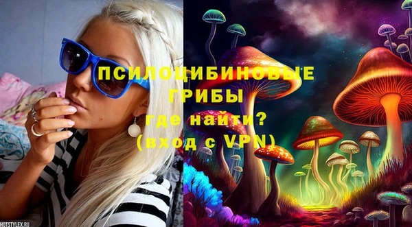 спиды Алексеевка