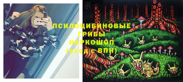 спиды Алексеевка