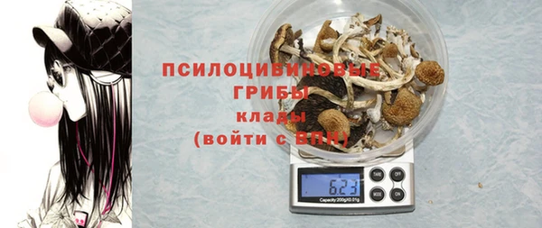 спиды Алексеевка