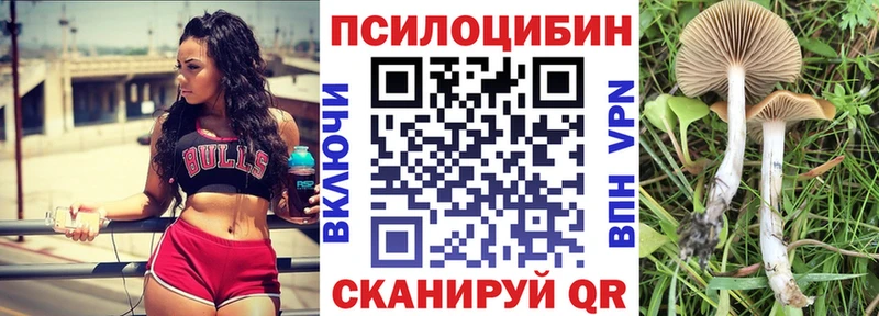 Галлюциногенные грибы прущие грибы  даркнет сайт  Приморск 