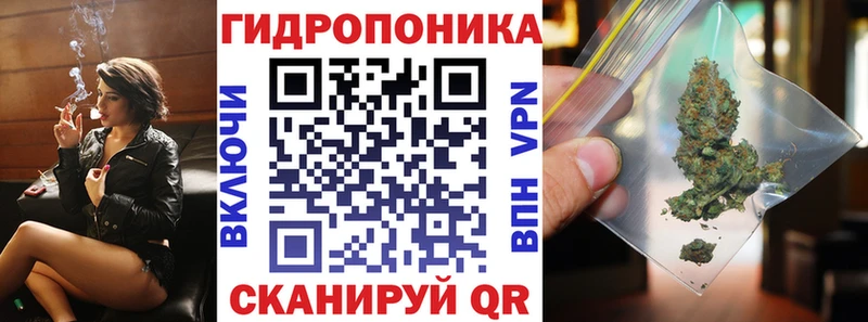это какой сайт Приморск Канабис Bruce Banner